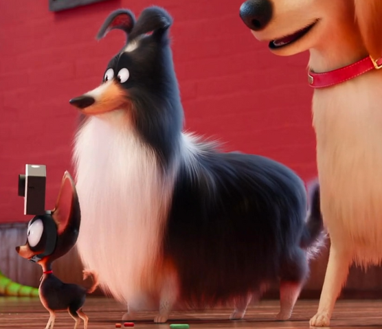 File:The collie.png