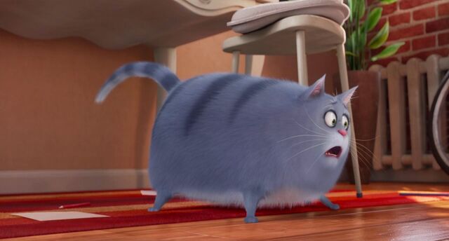 File:Chloe stunned.jpeg