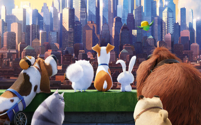 File:The-Secret-Life-Of-Pets-2016-Wallpaper-lX48D.jpg