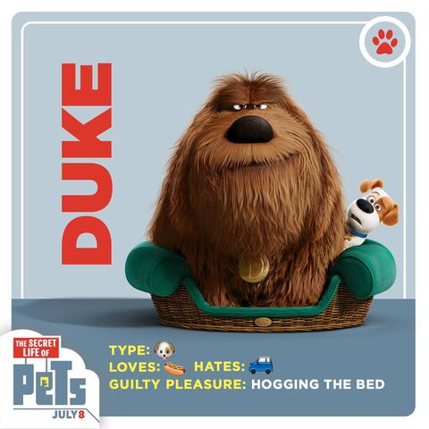 File:Duke card.jpg