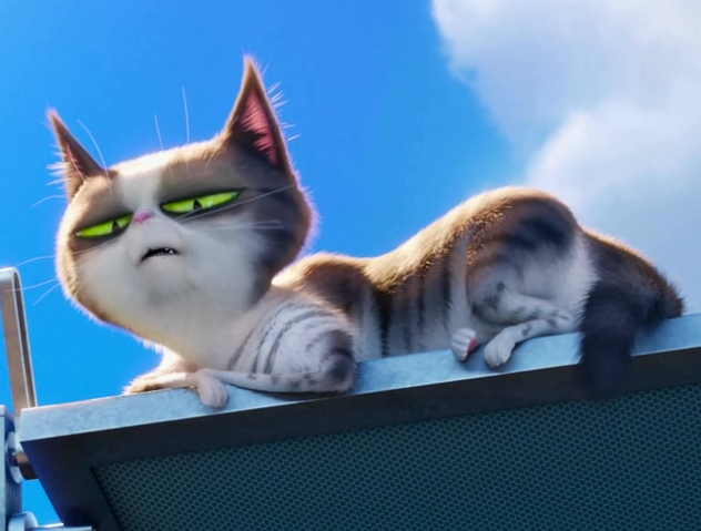 File:Dummy.png