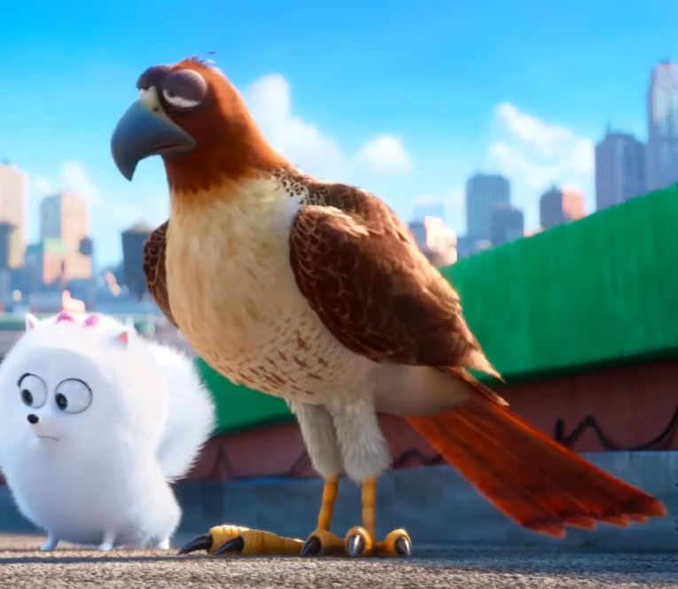Тайная жизнь животных пернатые приключения трейлер. Тайная жизнь домашних животных Тиберий. Тайная жизнь домашних животных ястреб Тиберий. Тиберий питомец. Тайная жизнь домашних животных ястреб