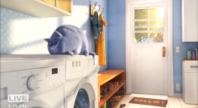 File:Chloe back door.png