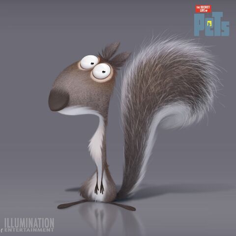 File:Squirrel.jpg