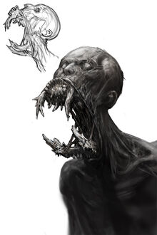 Face