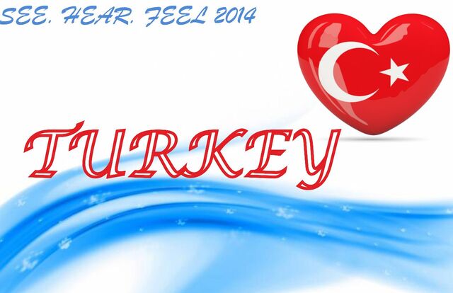 Файл:TurkeyLogo2014.jpg