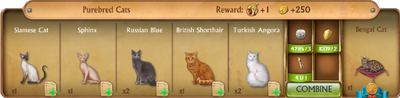 C0060 Purebred Cats cropped
