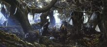 Fangorn.jpg