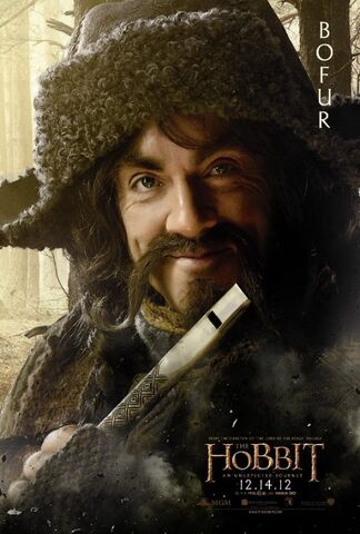 Fichier:Bofur.jpg