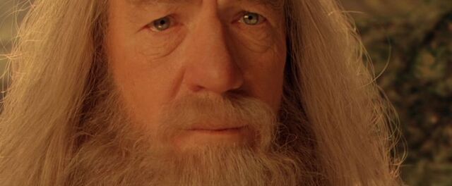 Fichier:Conseil d'elrond gandalf 4.jpg
