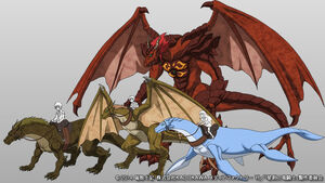 Dragon glossary