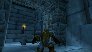 WoWScrnShot 080710 010852