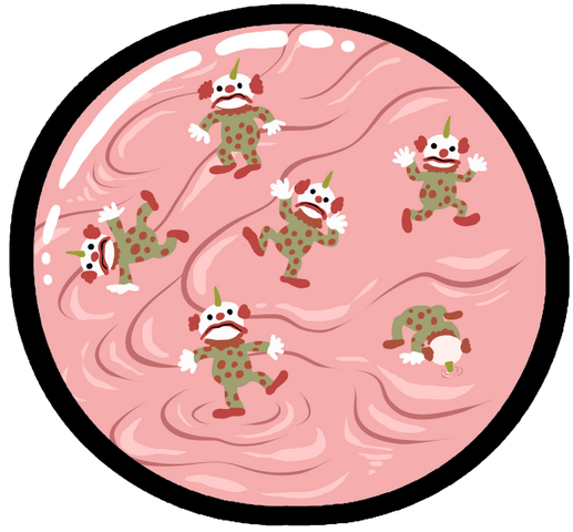 File:Pubicclowns.png