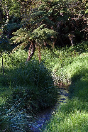 Tauranga Parks