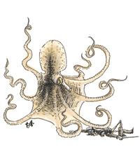 Octogian.gif