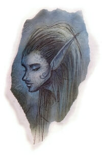 Noviere.jpg