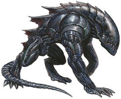 Stalowydrapiezca