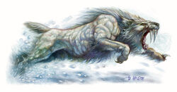 Animals14.jpg