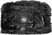 Willothewisp