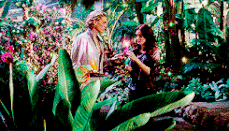File (11).gif