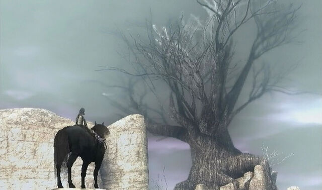Arquivo:DeadTree2.jpg