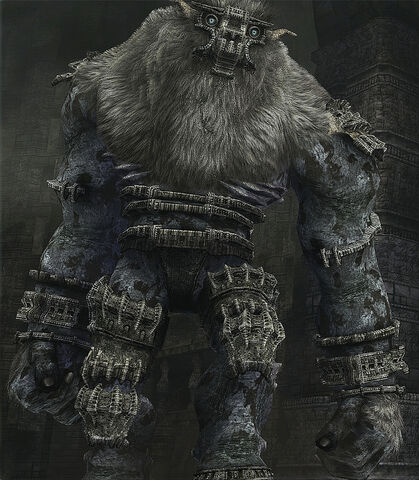 Arquivo:Barba.jpg