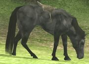 Agro.jpg