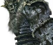 Barba, Belua Maximus ( bestia maxima ).jpg