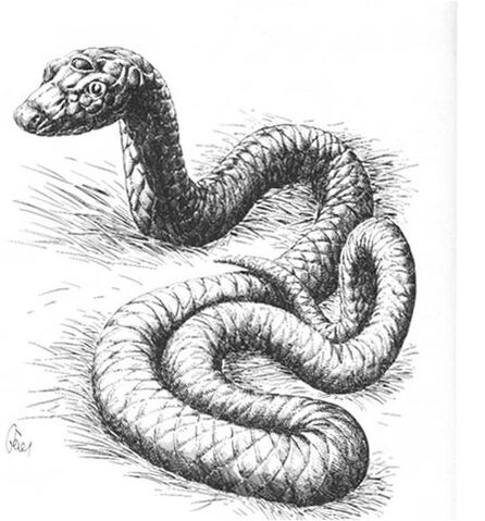 File:Aitvaras.jpg