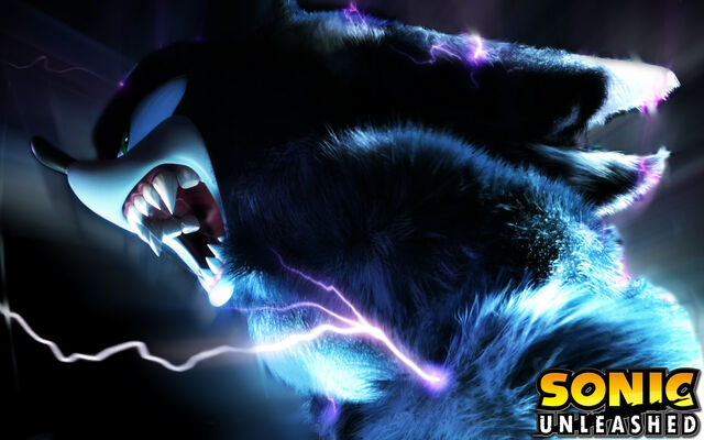File:Sonic-the-Werehog-yeah-sonic-the-werehog-11556769-1680-1050.jpg