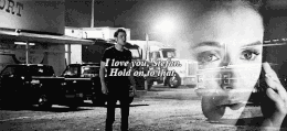 Stelena 3