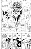 Shamanking13 cap193.jpg