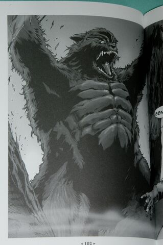 Bestand:Darkwraith koden.jpg
