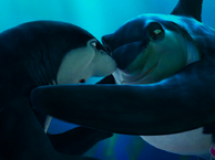 Shark Tale Frankie Hits Lenny