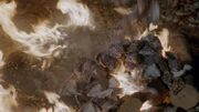 Oyster shells