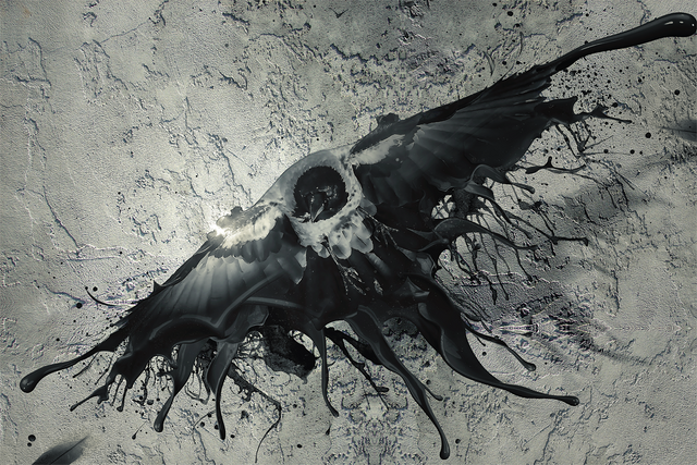 Datei:Raven.png