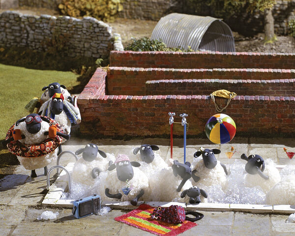 File:Flock take bath.jpg