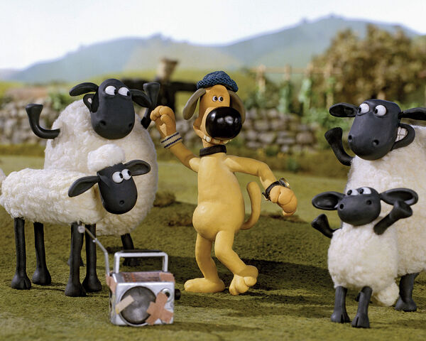 File:Flock with radio.jpg