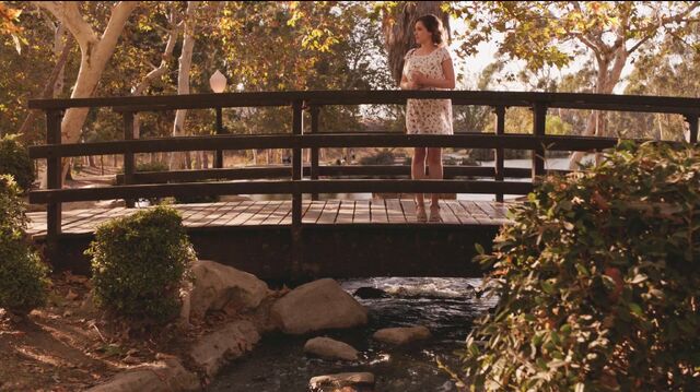 File:Heritage Bridge.jpeg