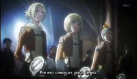 Annieequipo.png