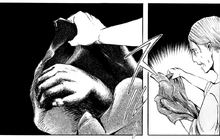 Braun's arm.png