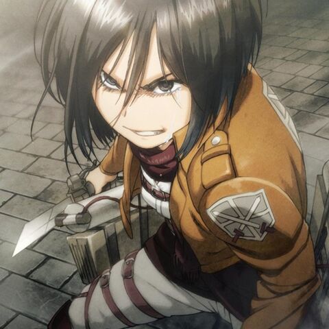 File:Mikasa Cruel World.jpg