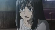 Mikasa enfant.jpg
