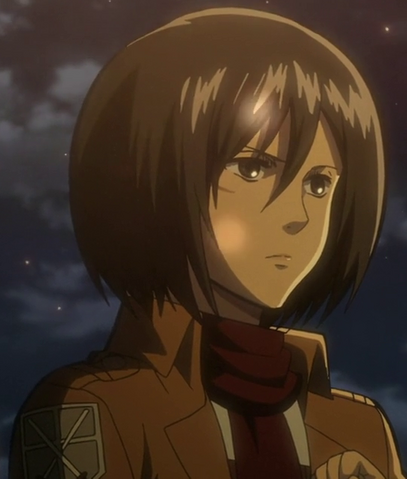 Datei:Mikasa.png
