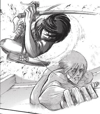 File:Mikasa stops Annie.jpg