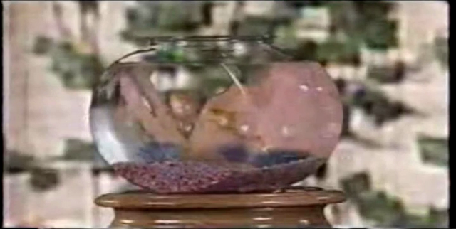 File:SplishSplashSplosh2.png