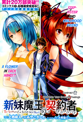 File:Chapter 12 cover.png
