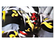 Shadow master