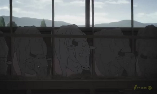 File:Pouch Cows.png