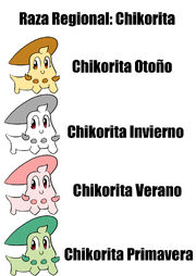 Estaciones regionales.jpg